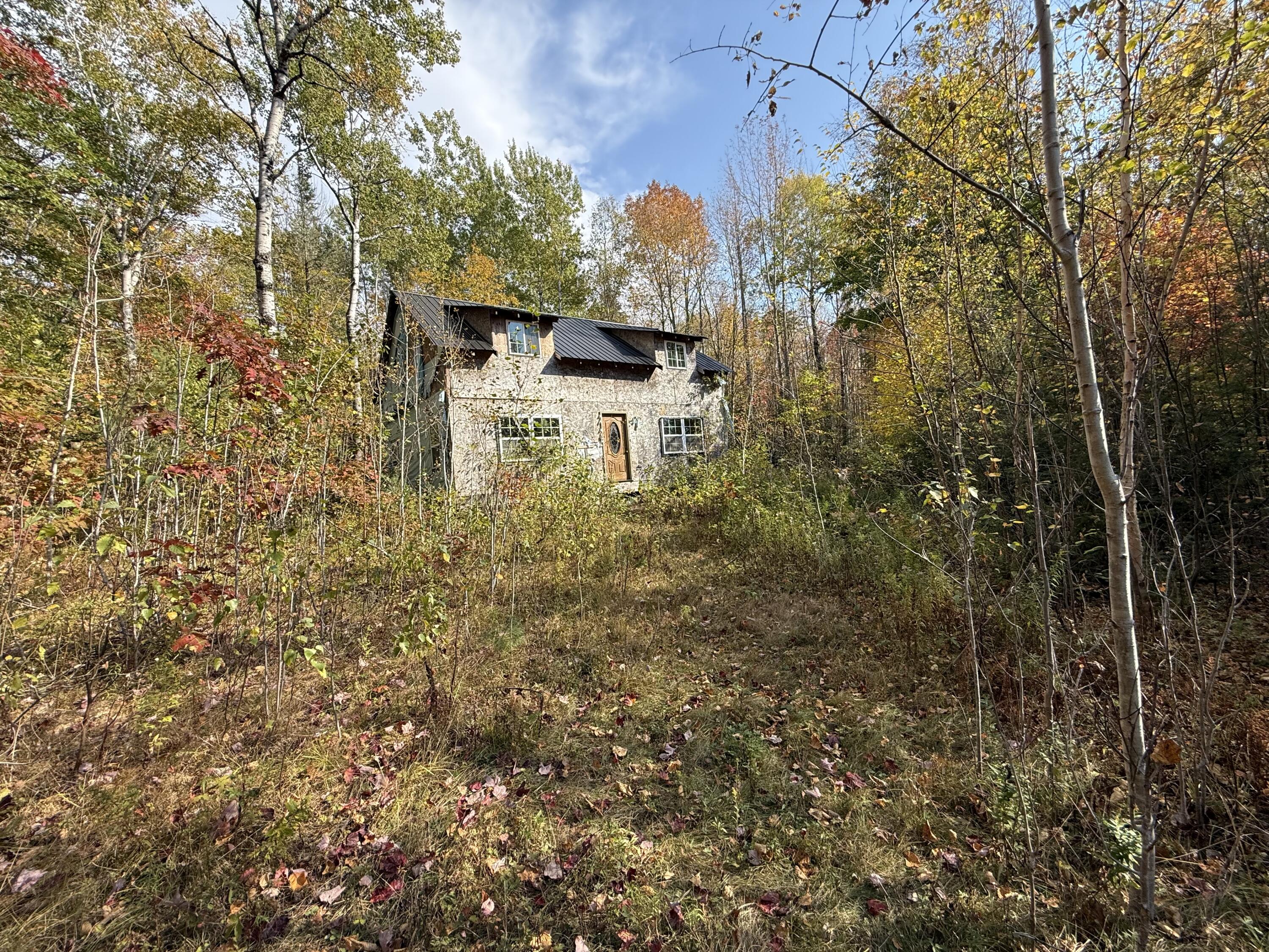 Off Andrews Road Wytopitlock, ME 04497 - Photo 41 of 42 IMG_8593