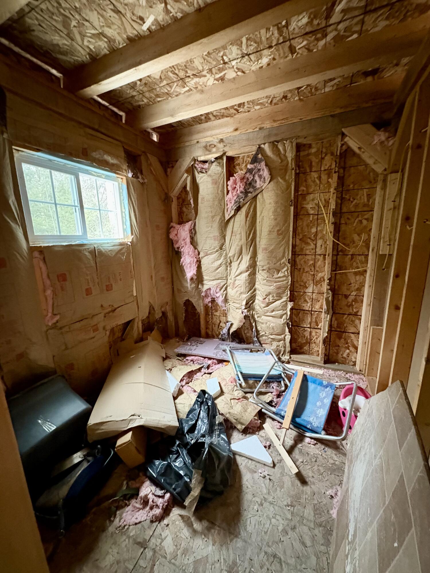 Off Andrews Road Wytopitlock, ME 04497 - Photo 6 of 42 IMG_0546