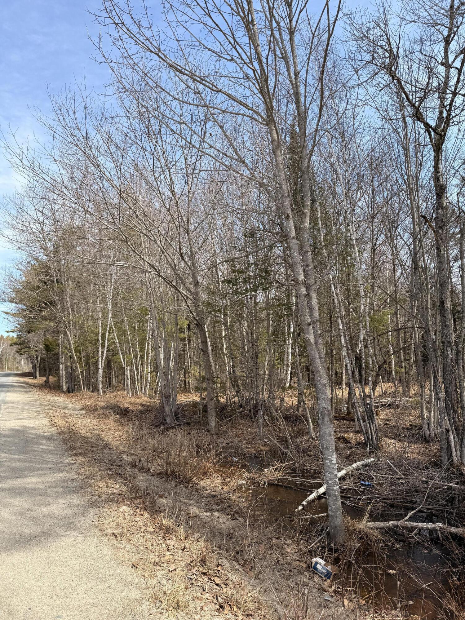 Lot #5 Mohawk Road Enfield, ME 04493 - Photo 4 of 7