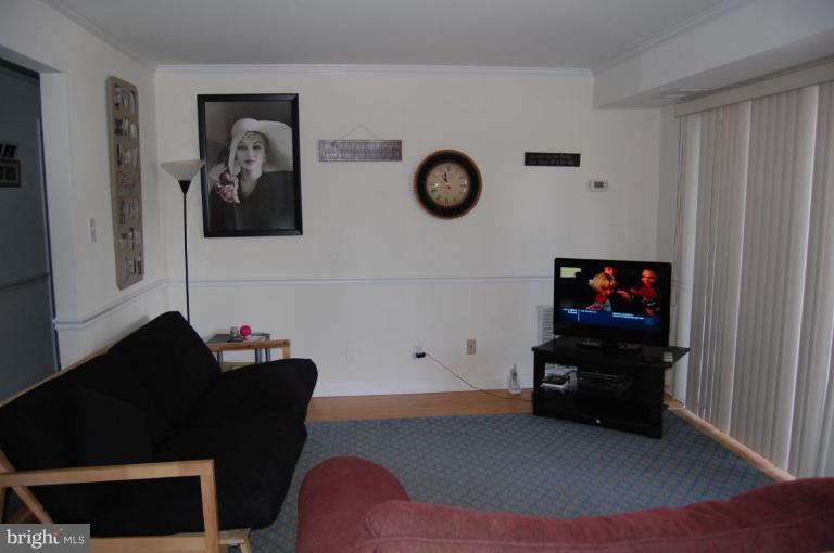 11614 Vantage Hill Road, Unit 11C Reston, VA 20190 - Photo 3 of 5 Family Room