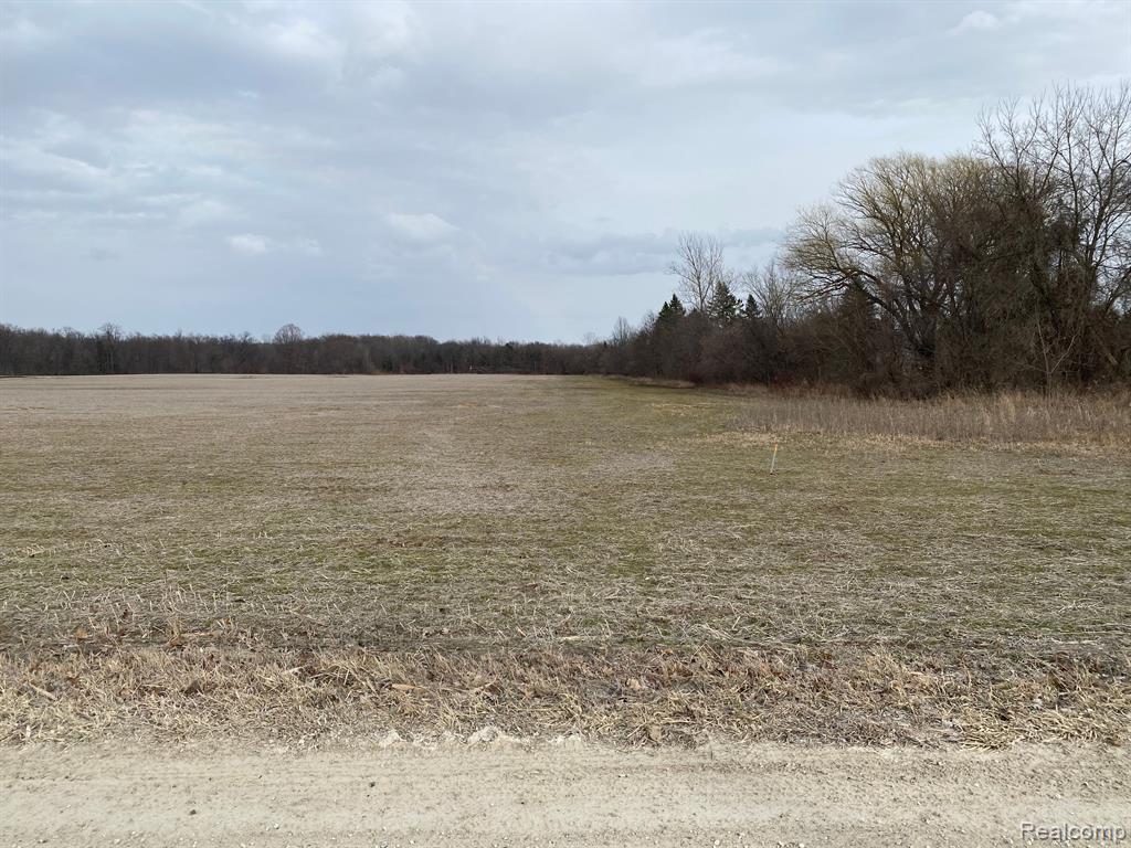 2 Howland Road Almont, MI 48003 - Photo 21 of 24