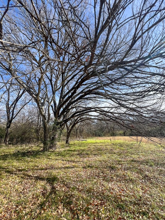 203 Southwest 4th Street Hubbard, TX 76648 - Photo 2 of 4 a large green field with lots of trees