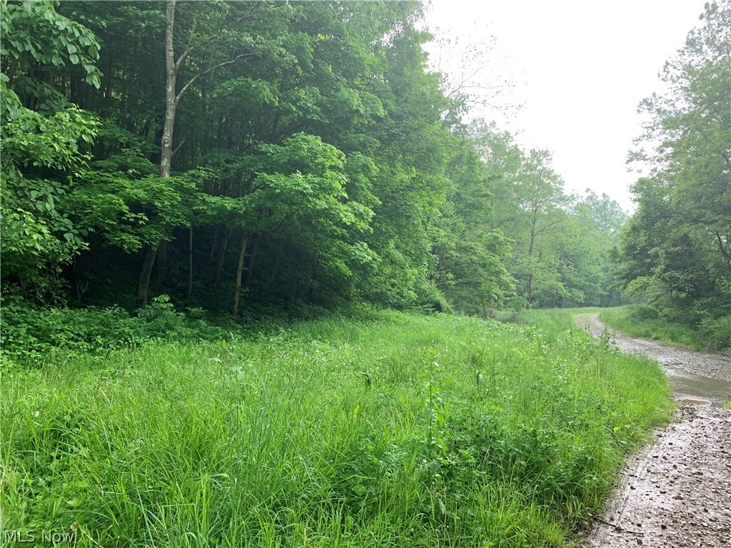 52044 Case Ridge Road Clarington, OH 43915 - Photo 28 of 35 Gallery Image 28