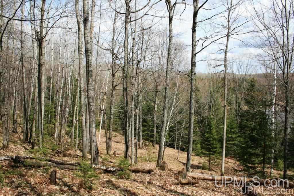 Tbd Stateline Lake Road Marenisco, MI 49947 - Photo 12 of 17