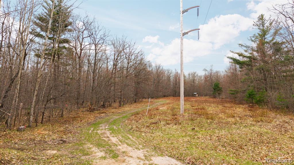 0 North Fairview Road West Branch, MI 48661 - Photo 6 of 14