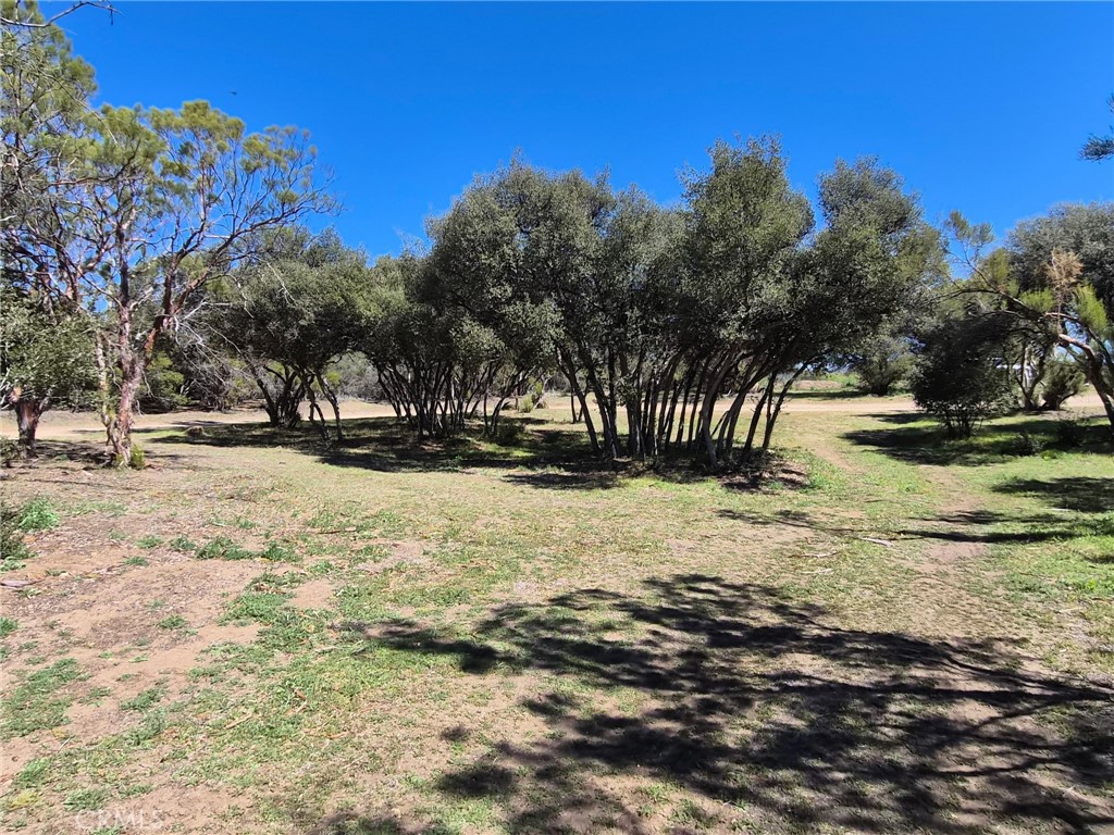 38295 Indian Road Anza, CA 92539 - Photo 2 of 36