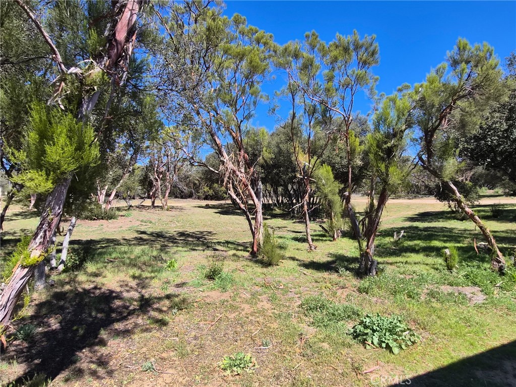 38295 Indian Road Anza, CA 92539 - Photo 3 of 36