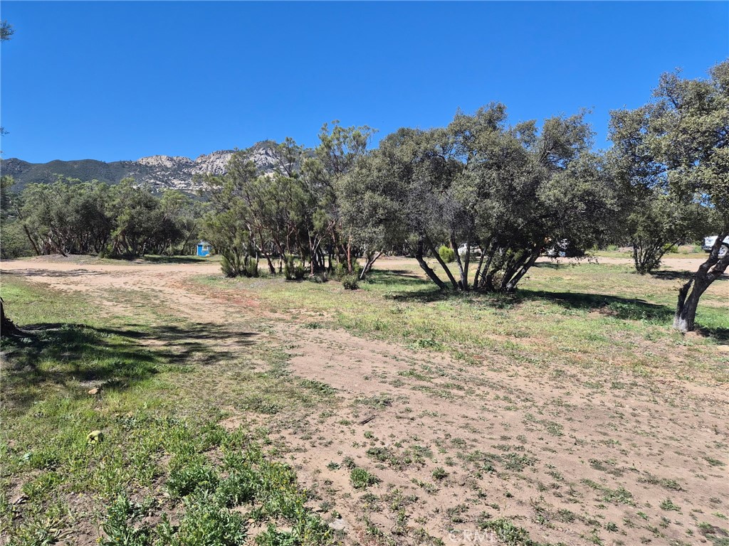 38295 Indian Road Anza, CA 92539 - Photo 10 of 36