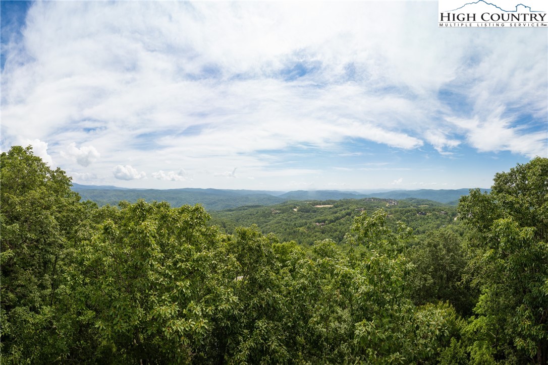 316 R Milfoil Court Boone, NC 28607 - Photo 2 of 50