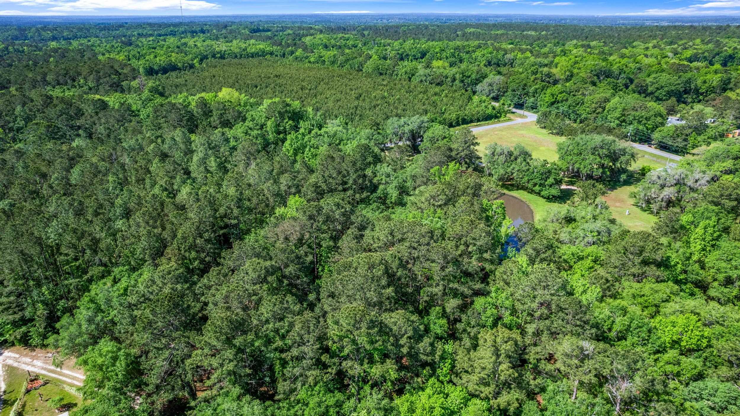 14008 Godbold Road Tallahassee, FL 32309 - Photo 18 of 22