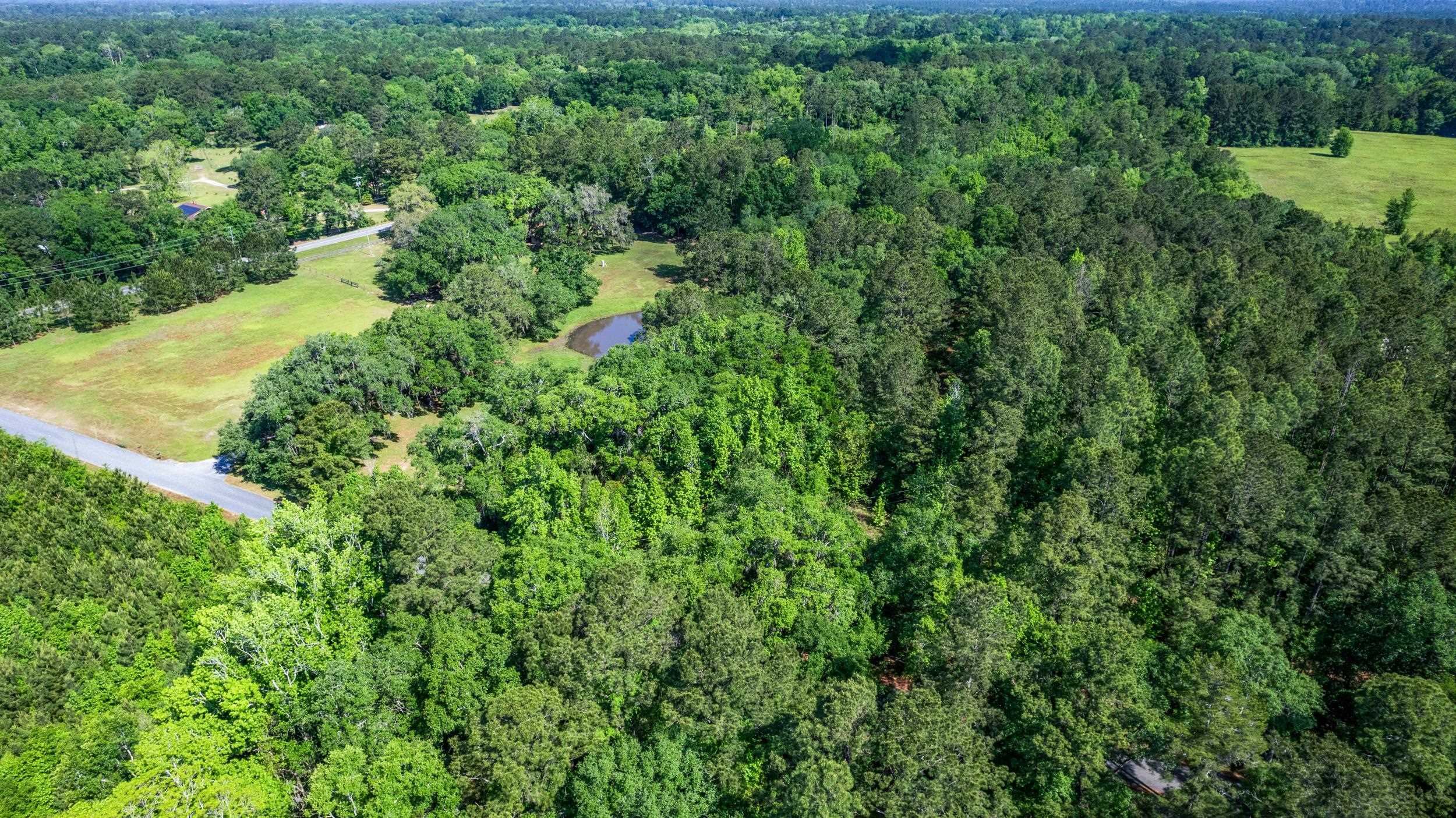 14008 Godbold Road Tallahassee, FL 32309 - Photo 19 of 22