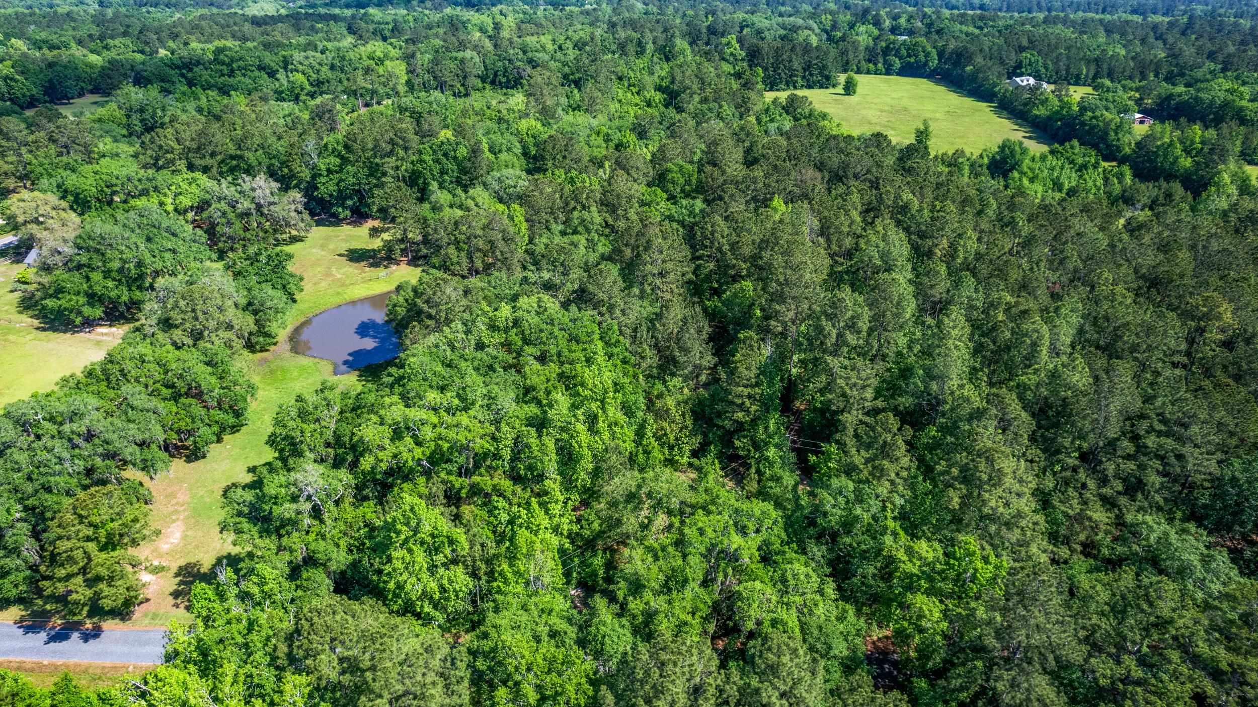 14008 Godbold Road Tallahassee, FL 32309 - Photo 20 of 22