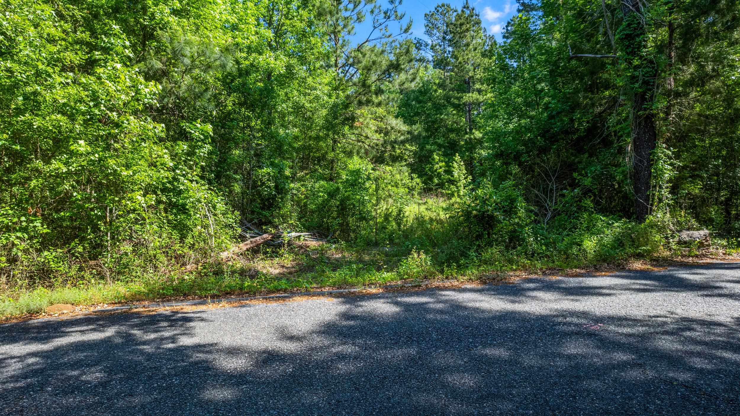 14008 Godbold Road Tallahassee, FL 32309 - Photo 2 of 22