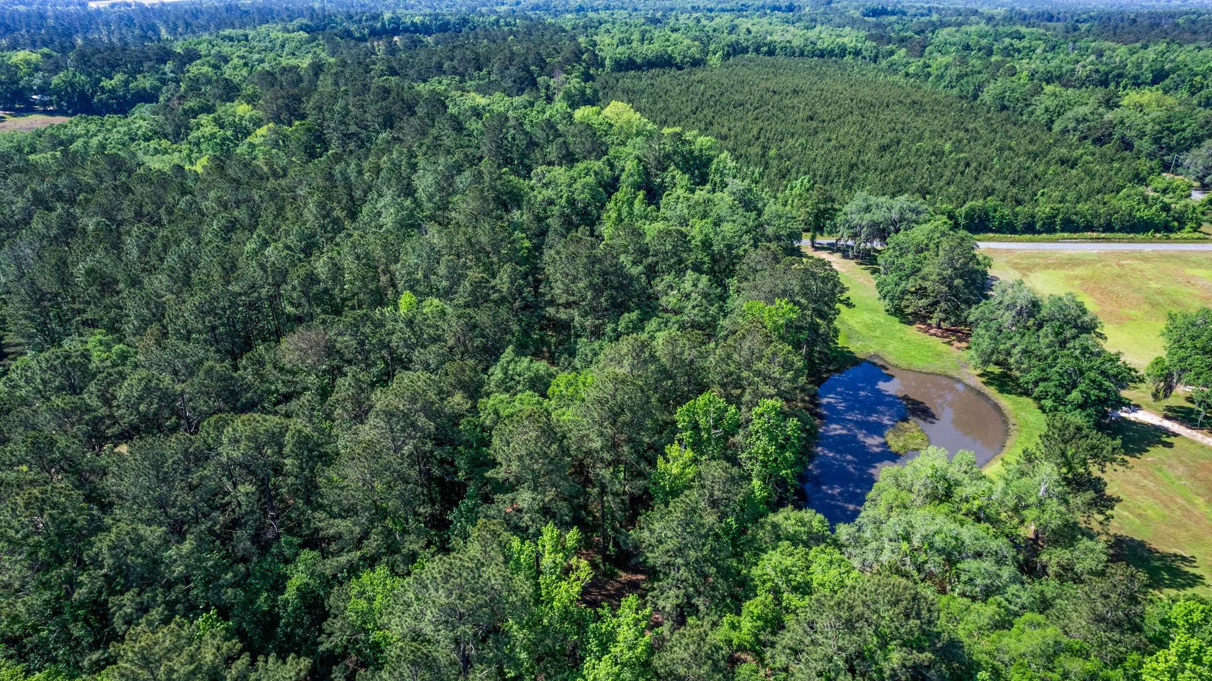 14008 Godbold Road Tallahassee, FL 32309 - Photo 22 of 22