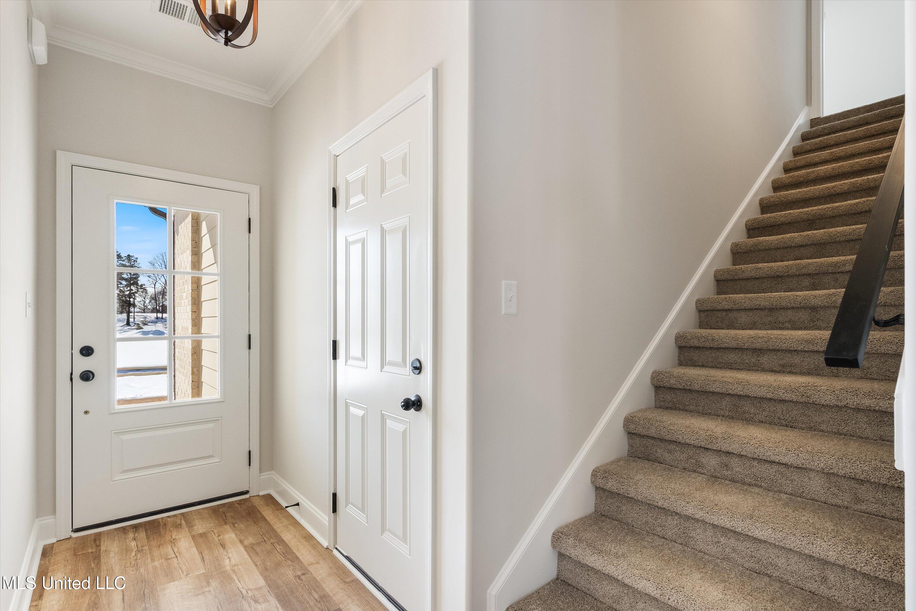 915 Collie Drive Hernando, MS 38651 - Photo 4 of 23 01-DSC05769