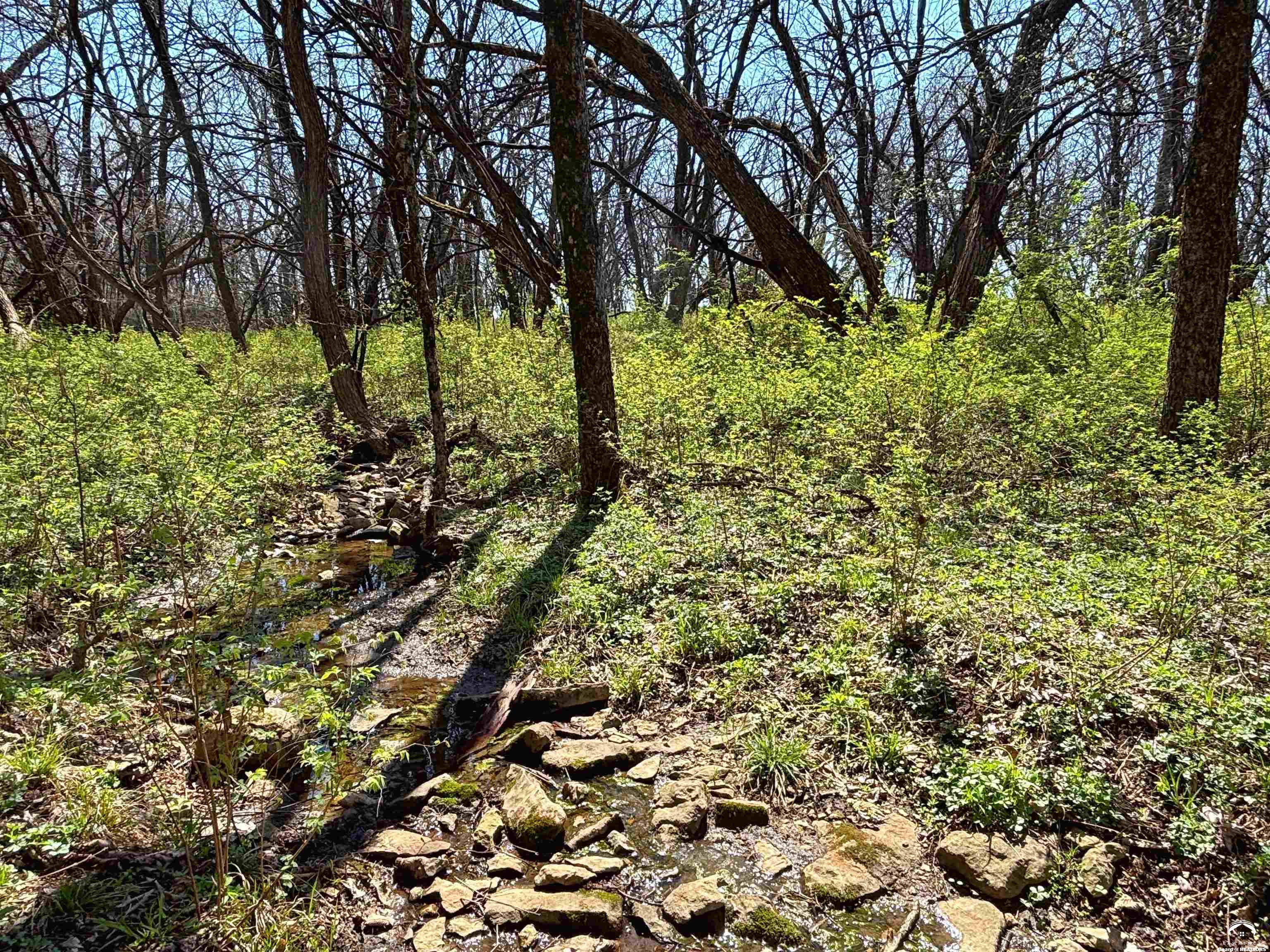 1237 North 900 Road Lawrence, KS 66047 - Photo 34 of 61