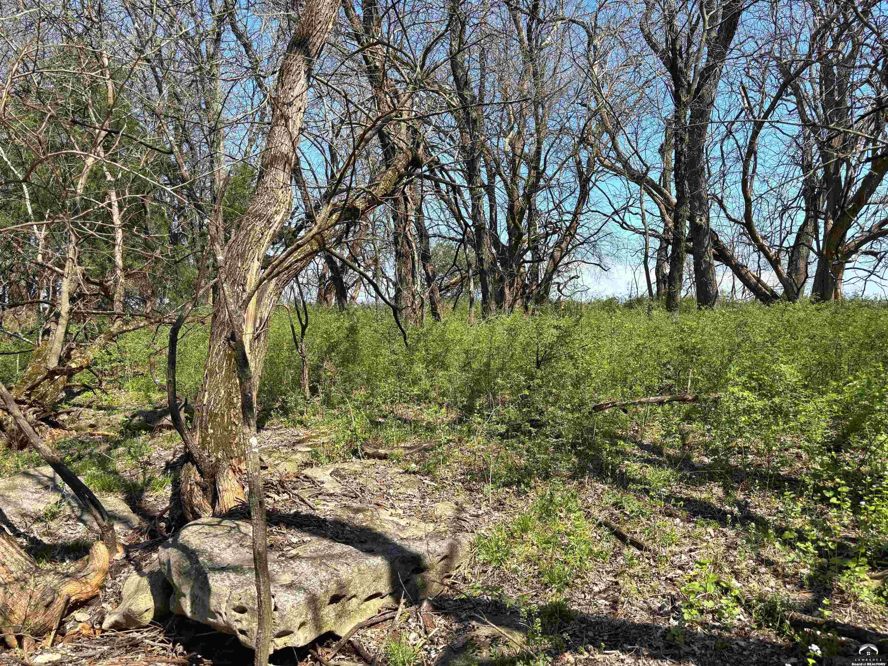 1237 North 900 Road Lawrence, KS 66047 - Photo 35 of 61