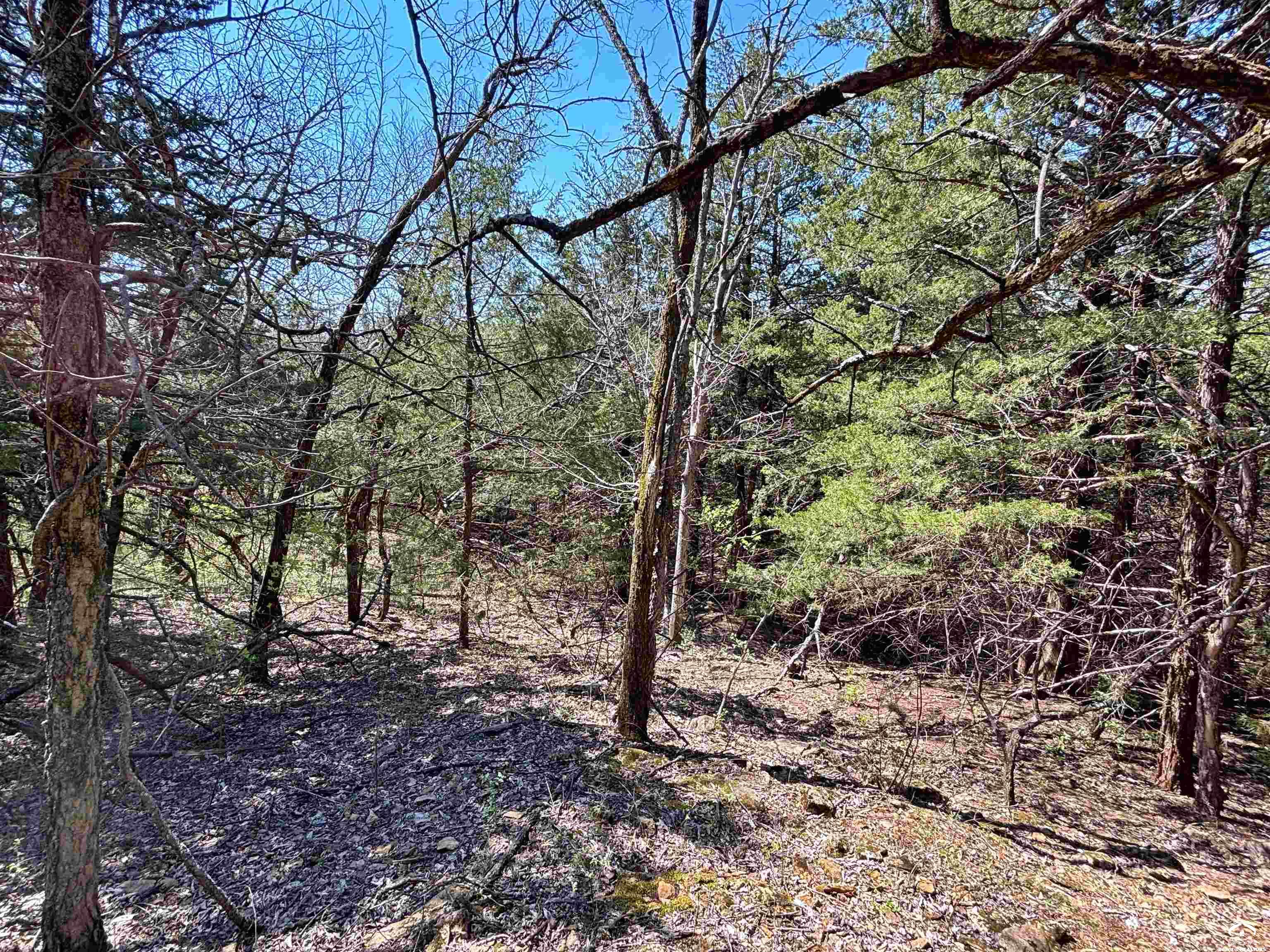 1237 North 900 Road Lawrence, KS 66047 - Photo 43 of 61