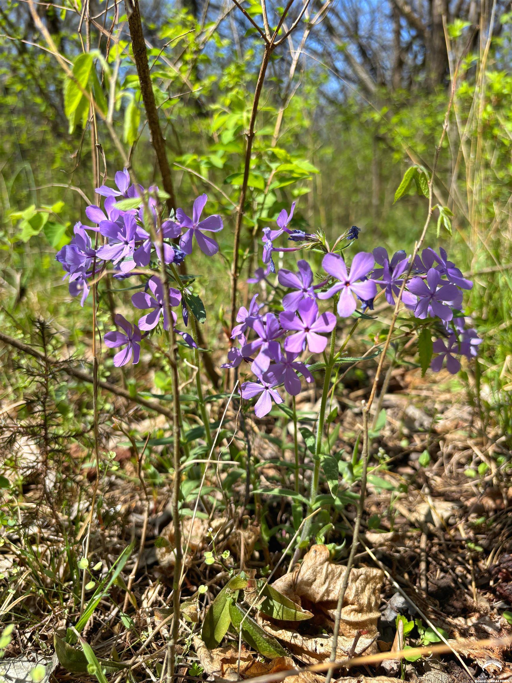 1237 North 900 Road Lawrence, KS 66047 - Photo 47 of 61