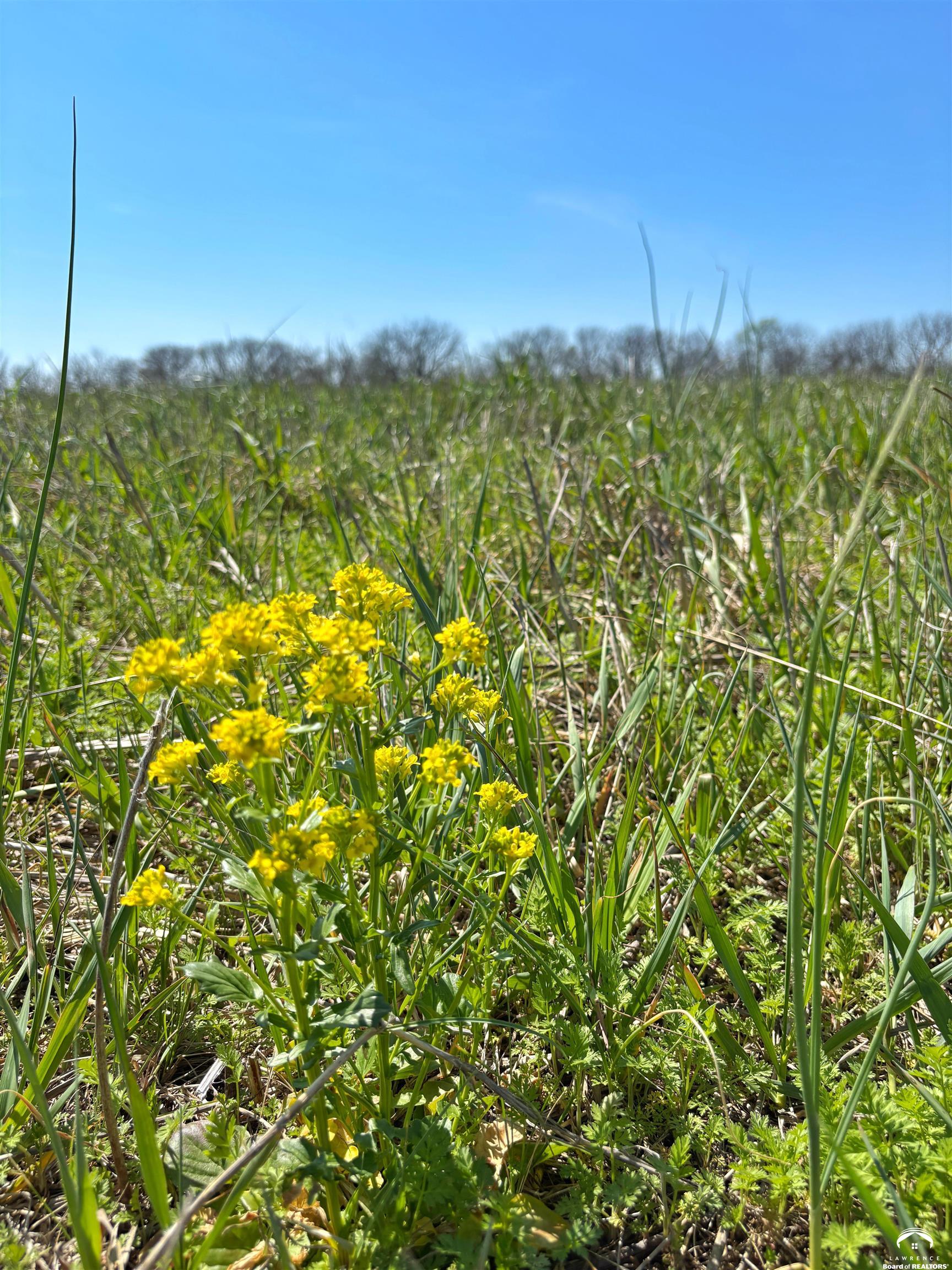 1237 North 900 Road Lawrence, KS 66047 - Photo 58 of 61