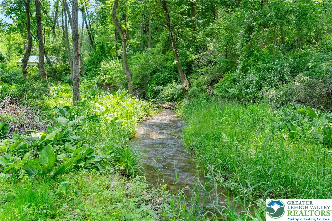 441 Knauss Road Nazareth, PA 18064 - Photo 54 of 56 a backyard of a house with lots of green space