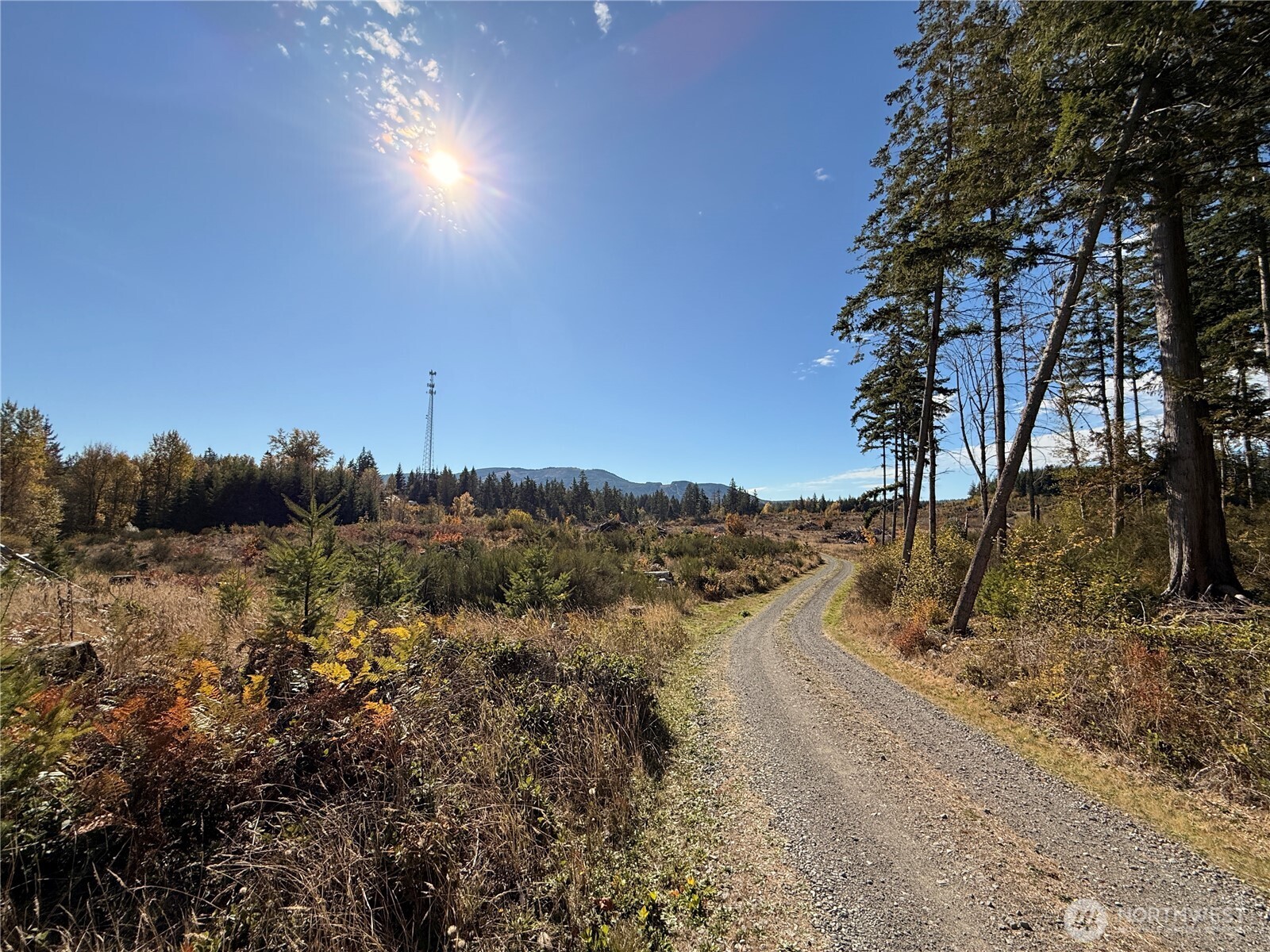 132-xx Algyer Road Southeast Rainier, WA 98576 - Photo 13 of 24 a view of a yard with mountain view