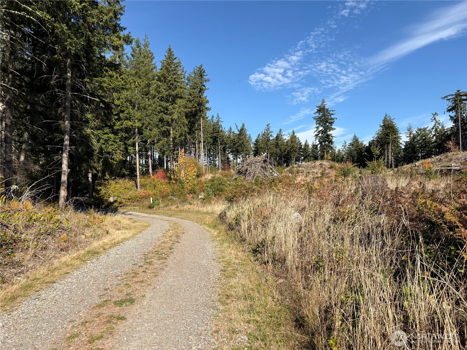132-xx Algyer Road Southeast Rainier, WA 98576 - Photo 15 of 24 a view of dirt yard with a tree