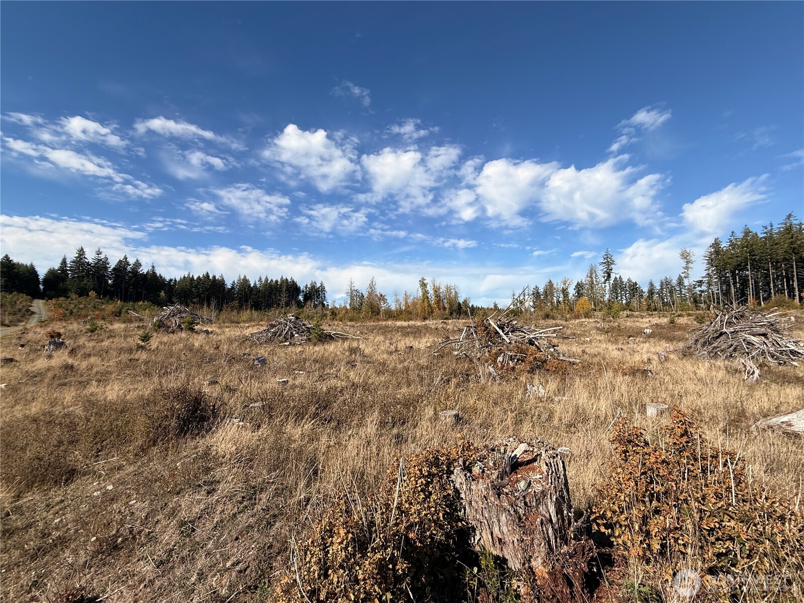 132-xx Algyer Road Southeast Rainier, WA 98576 - Photo 16 of 24 a view of a sky view