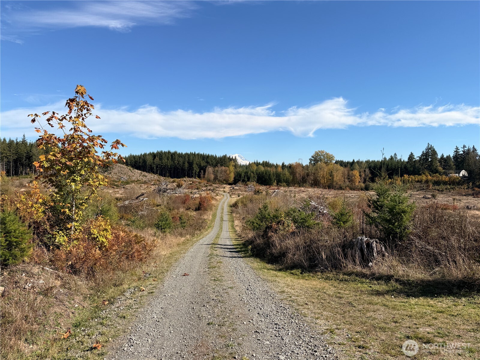 132-xx Algyer Road Southeast Rainier, WA 98576 - Photo 17 of 24 a view of a lake with mountain