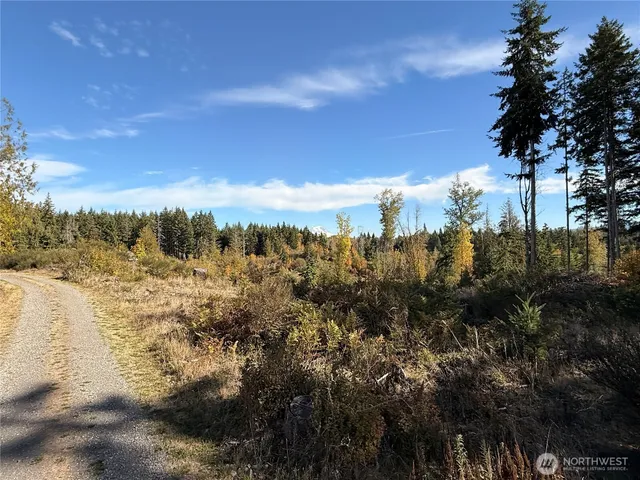a view of a yard with wooden fence
