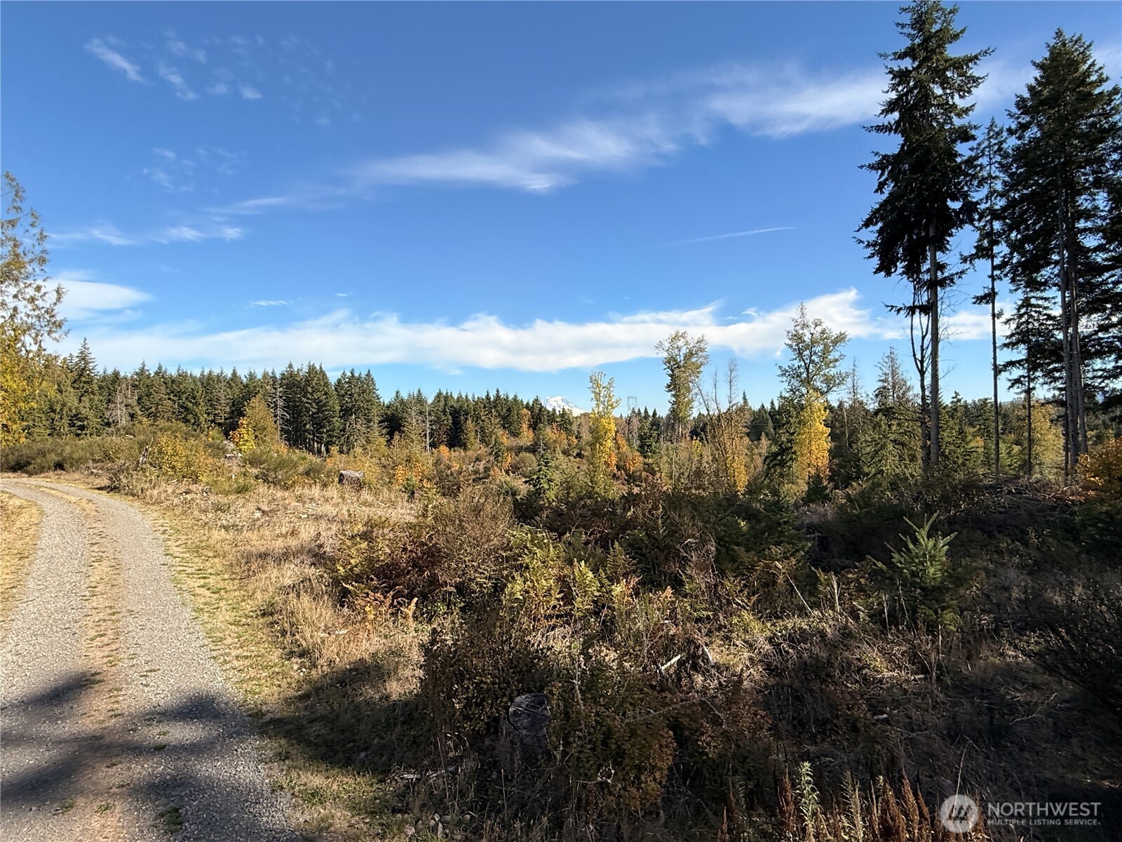 132-xx Algyer Road Southeast Rainier, WA 98576 - Photo 19 of 24 a view of a yard with wooden fence