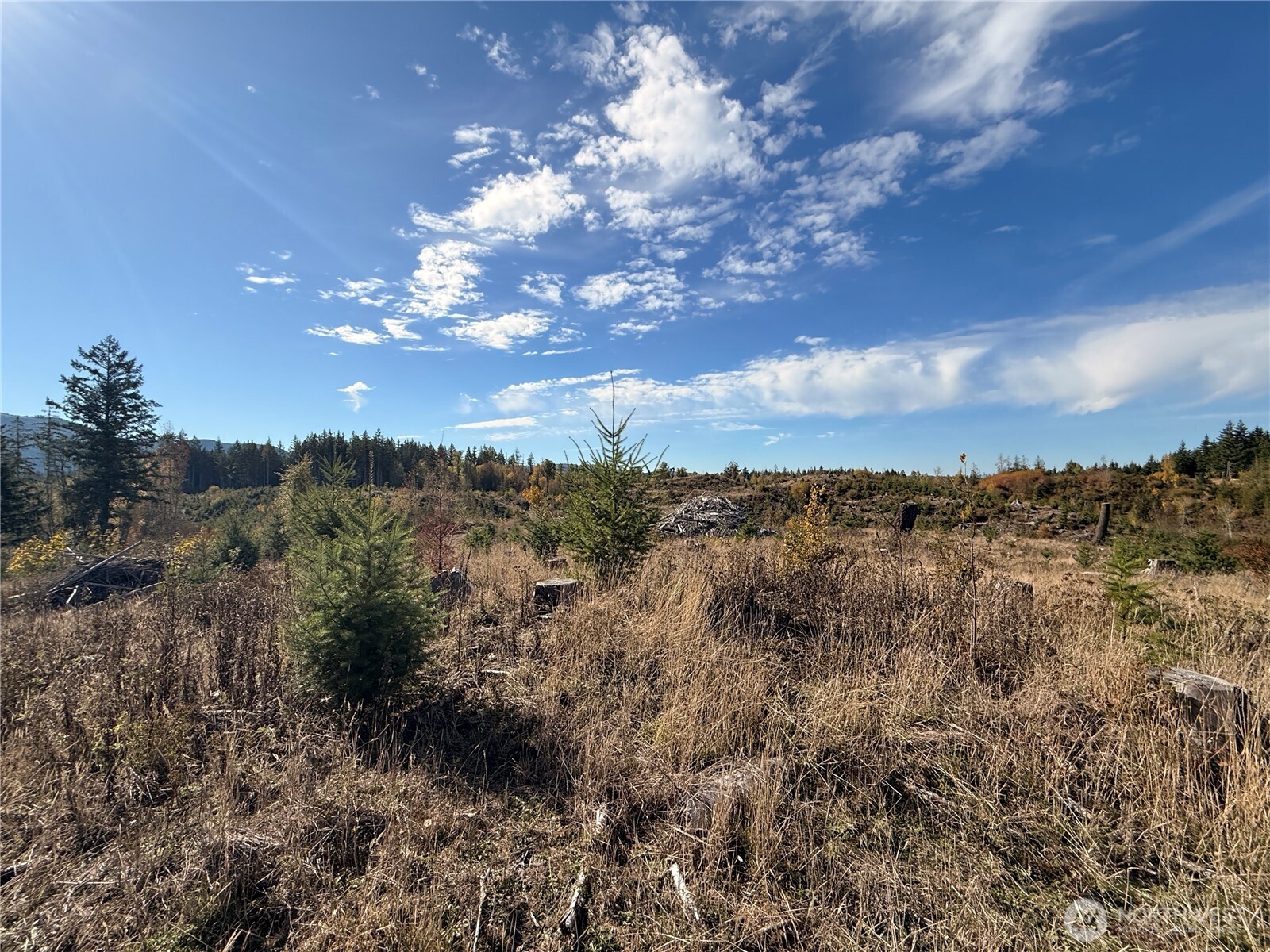 132-xx Algyer Road Southeast Rainier, WA 98576 - Photo 22 of 24 a view of a city