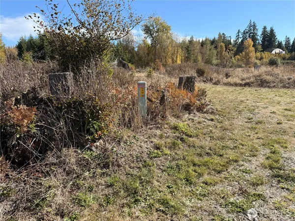 a view of a yard with wooden fence