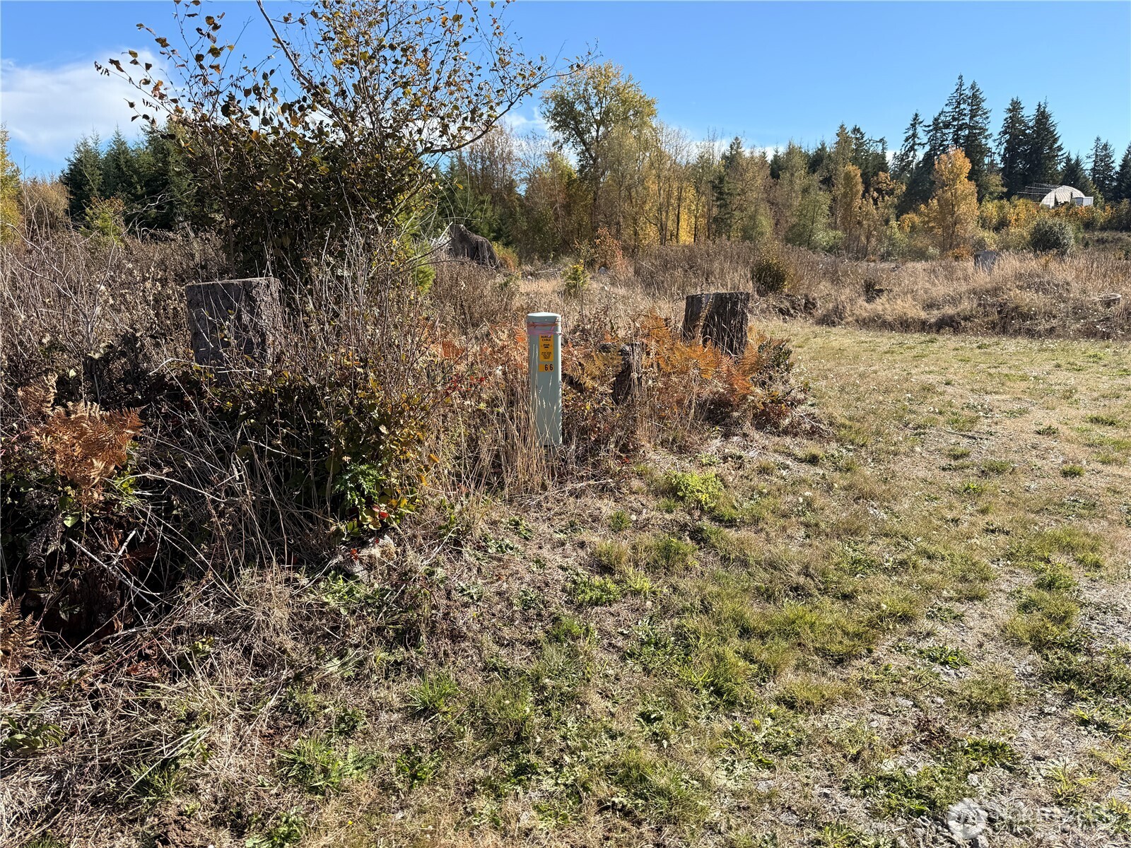 132-xx Algyer Road Southeast Rainier, WA 98576 - Photo 23 of 24 a view of a yard with wooden fence