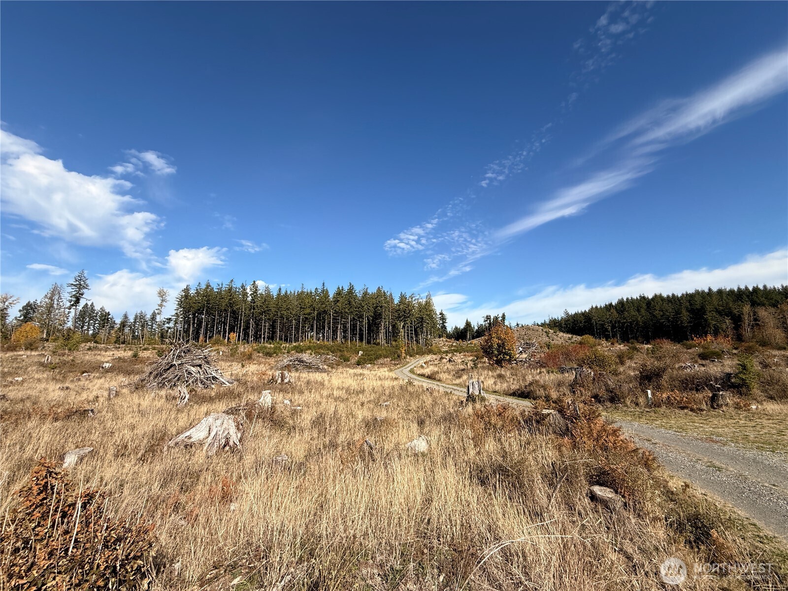 132-xx Algyer Road Southeast Rainier, WA 98576 - Photo 5 of 24 a view of a yard with a mountain