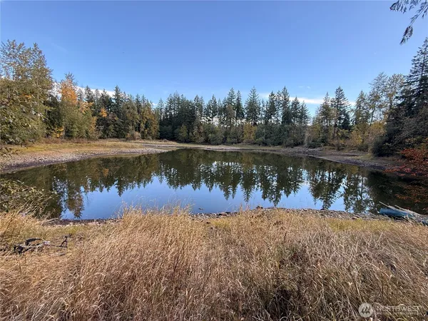 a lake view with trees in the background
