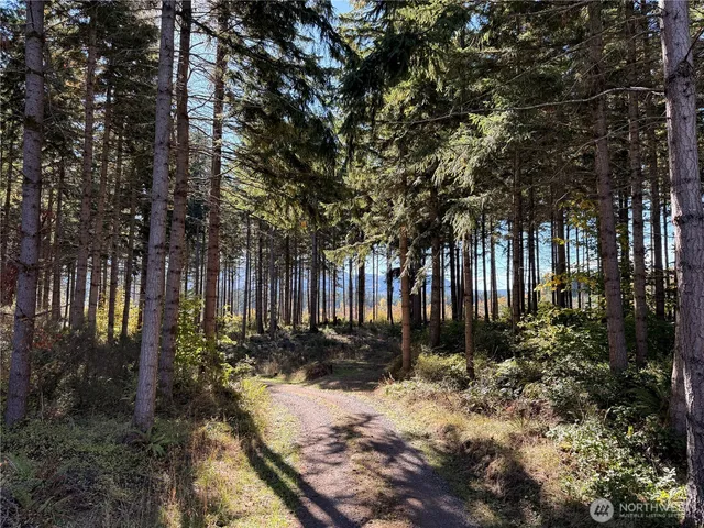 a tree in a yard next to a building