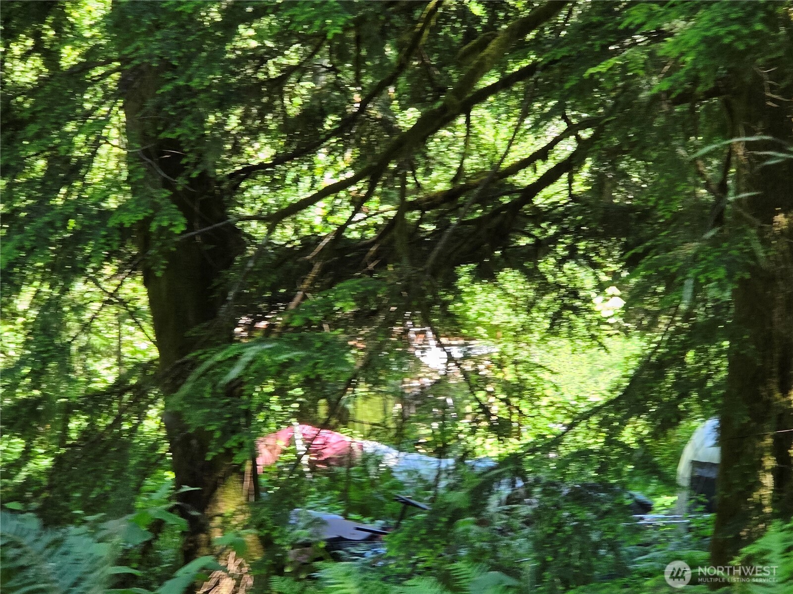 772 Thuja Narrows Road Washougal, WA 98671 - Photo 8 of 13 Gallery Image 8