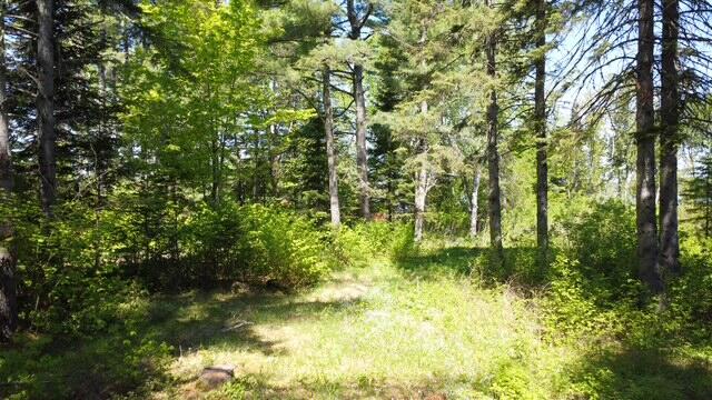 92 W Road Portage, ME 04768 - Photo 13 of 14