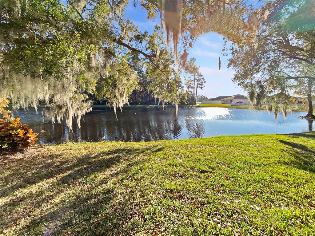 204 Baytree Boulevard Tavares, FL 32778 - Photo 13 of 25