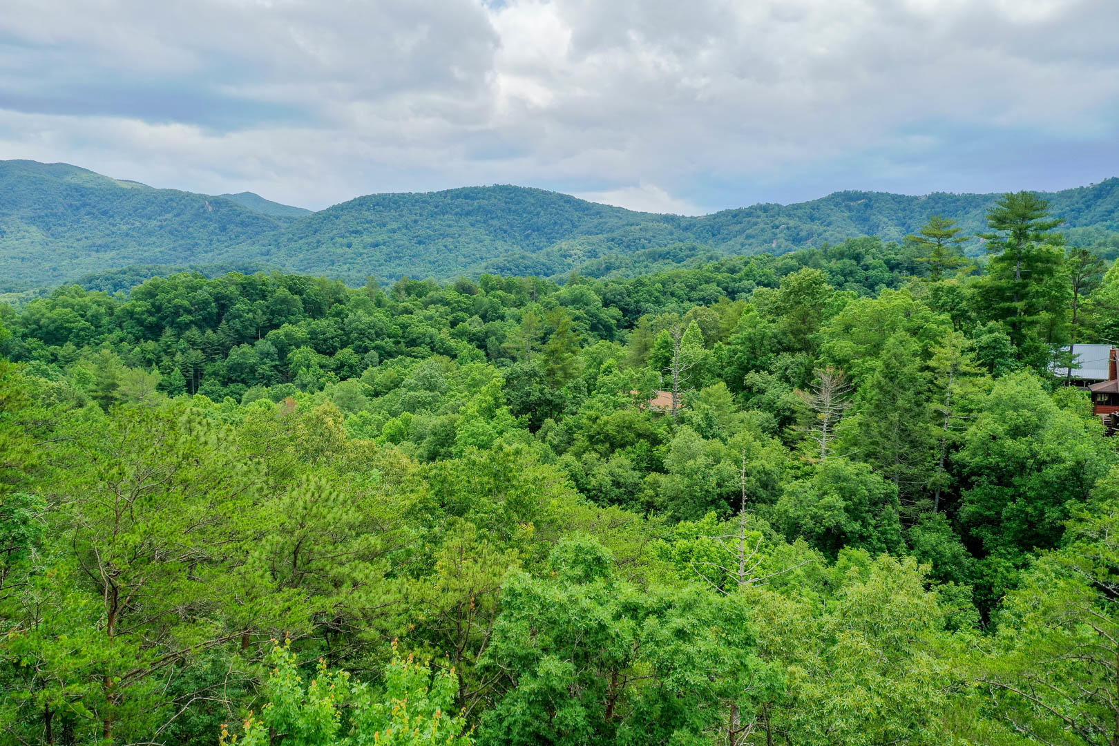 209 Cutter Gap Road Townsend, TN 37882 - Photo 7 of 30 DSC_1865-6