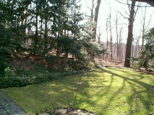 9753 Griffith Road Wexford, PA 15090 - Photo 5 of 8 Yard/Garden.