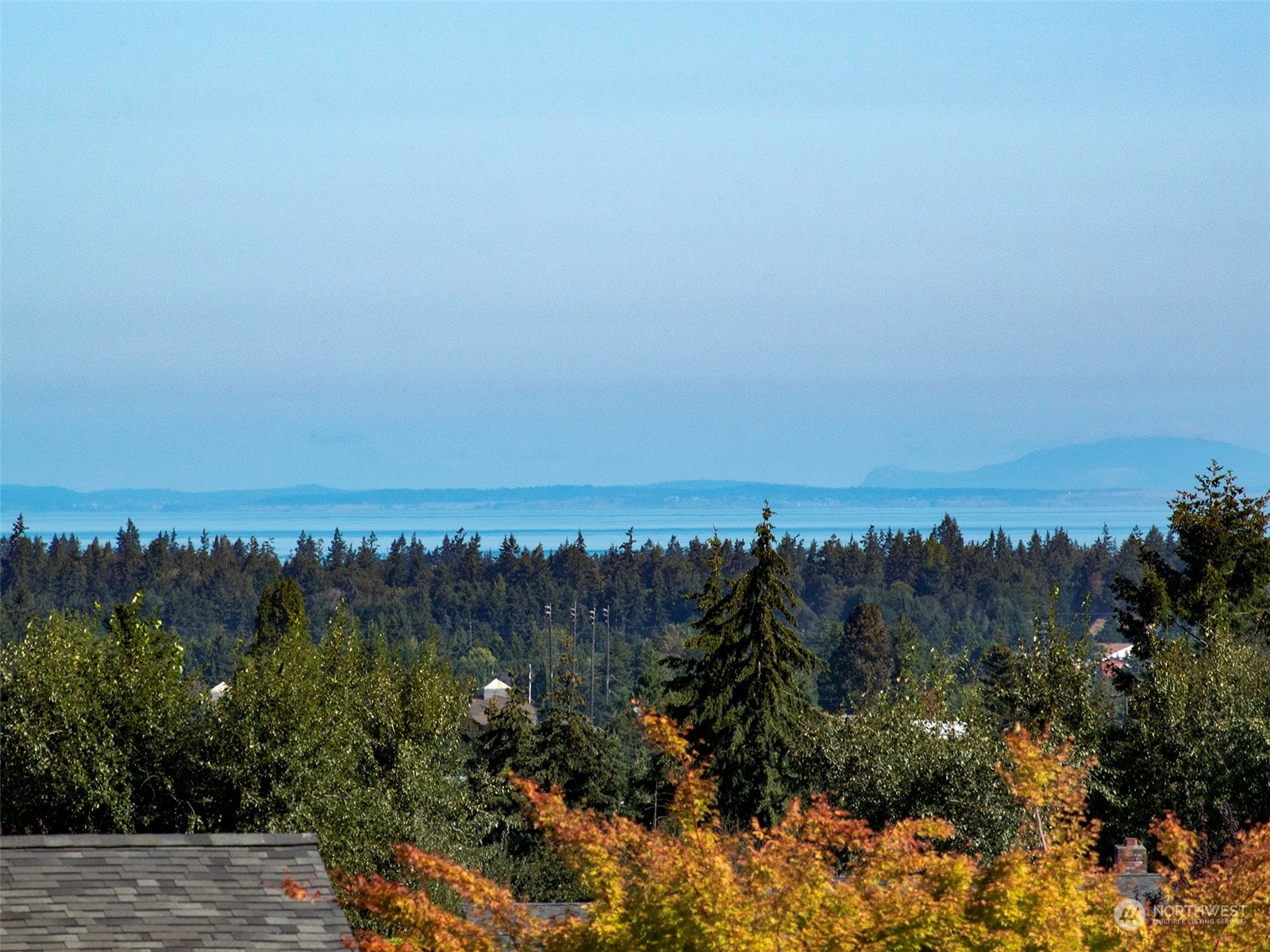 1301 South 3rd Avenue, Unit 3D Sequim, WA 98382 - Photo 6 of 40