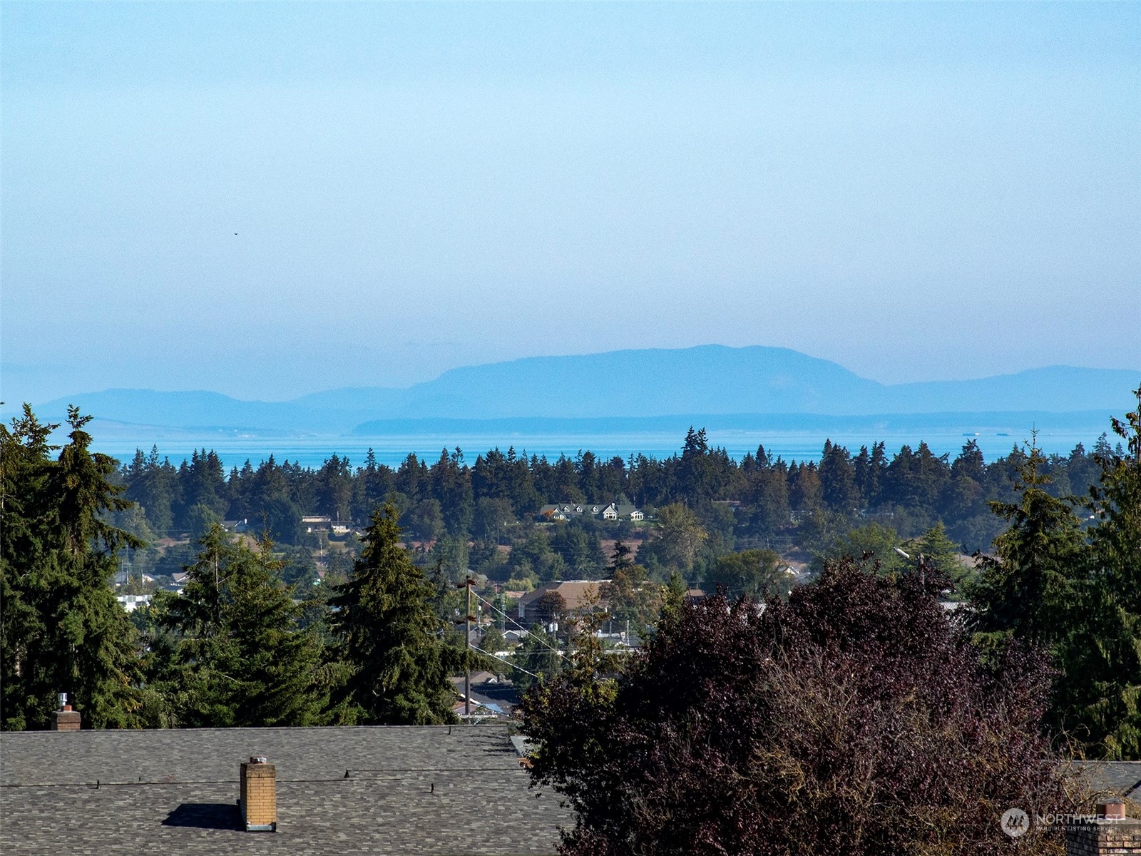 1301 South 3rd Avenue, Unit 3D Sequim, WA 98382 - Photo 7 of 40