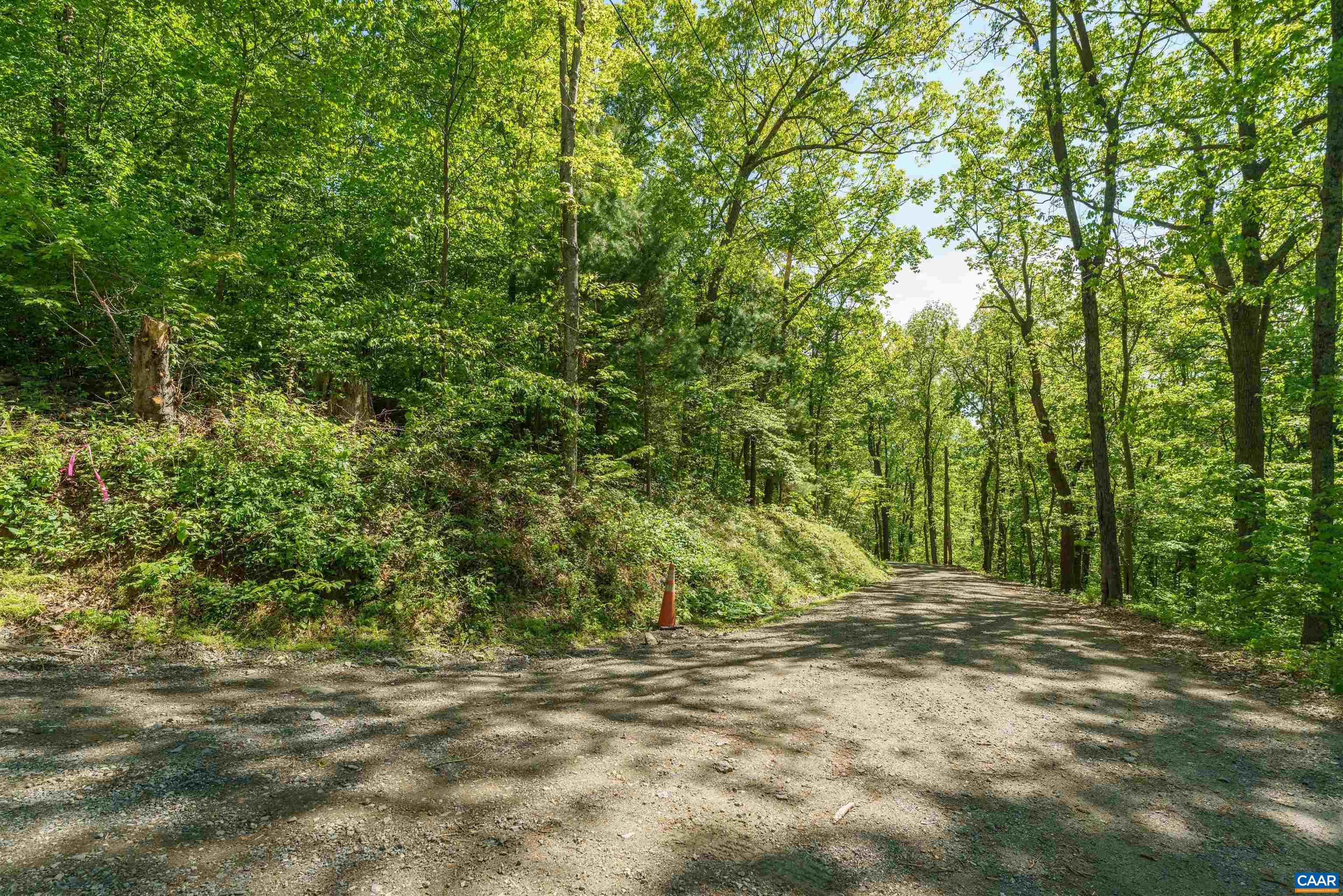 Lot A Brokenback Mountain Road Dyke, VA 22935 - Photo 3 of 15