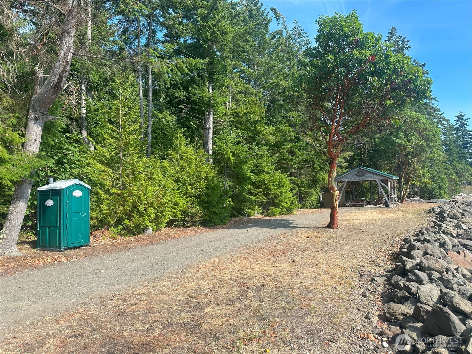 201 Tog Road Brinnon, WA 98320 - Photo 12 of 14 a view of a field with a trees