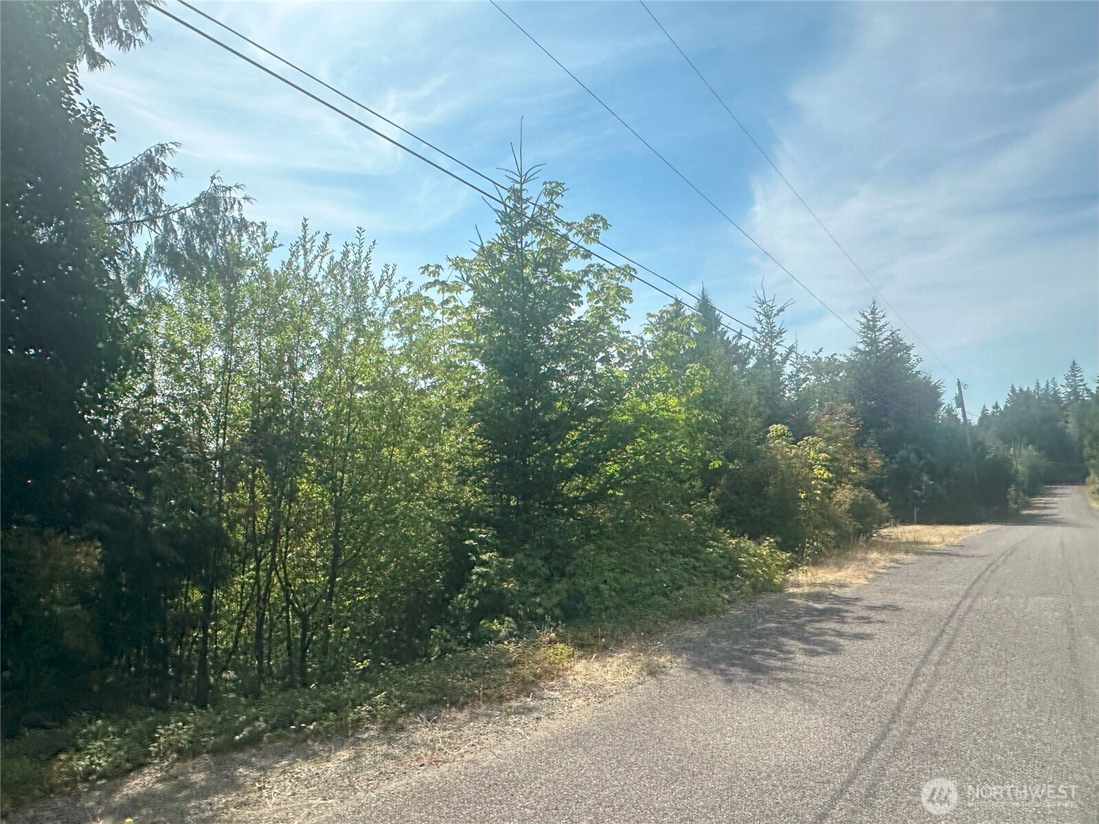 201 Tog Road Brinnon, WA 98320 - Photo 13 of 14 a view of a yard with plants and a bench