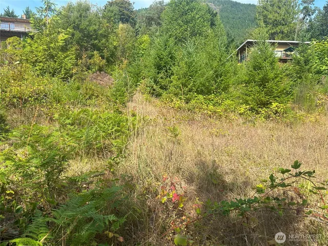 a view of a forest from a sink