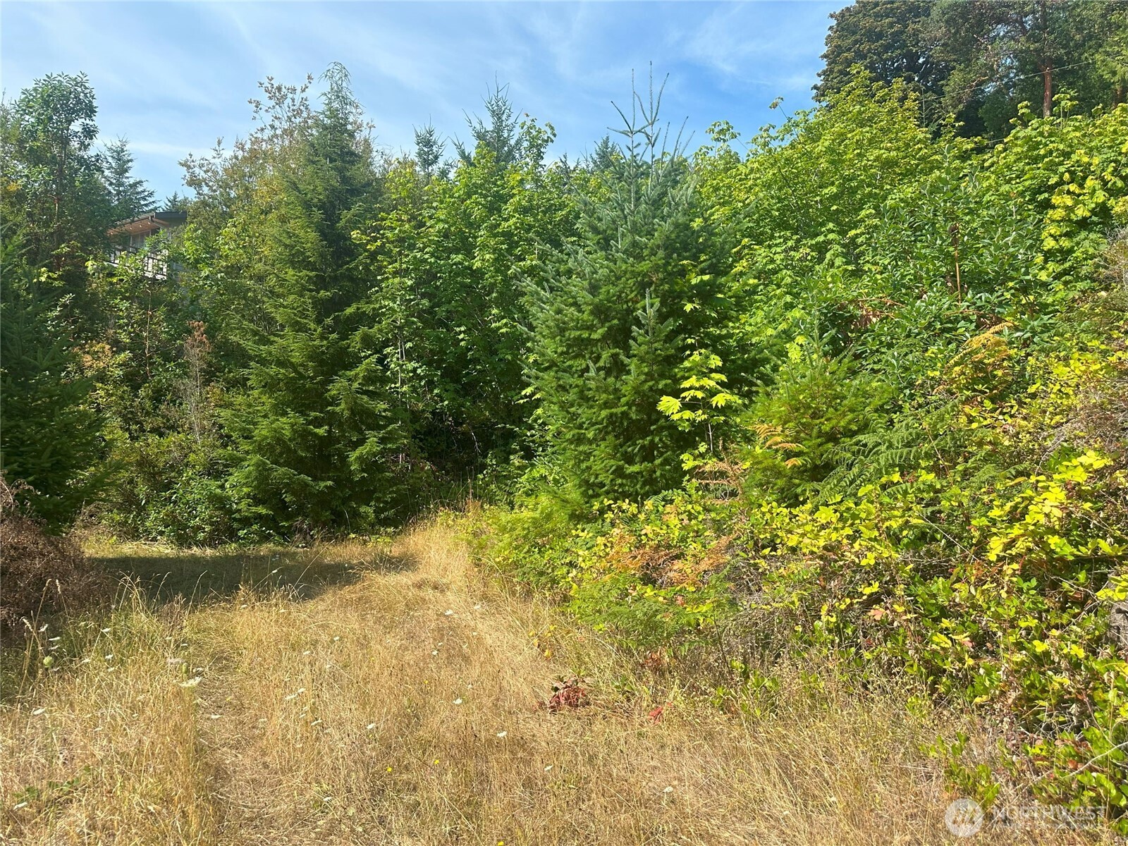 201 Tog Road Brinnon, WA 98320 - Photo 7 of 14 a view of a lake view