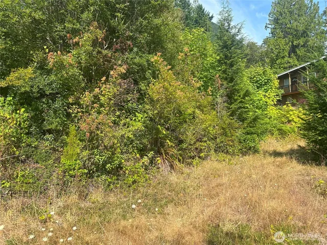 a view of a yard with a tree